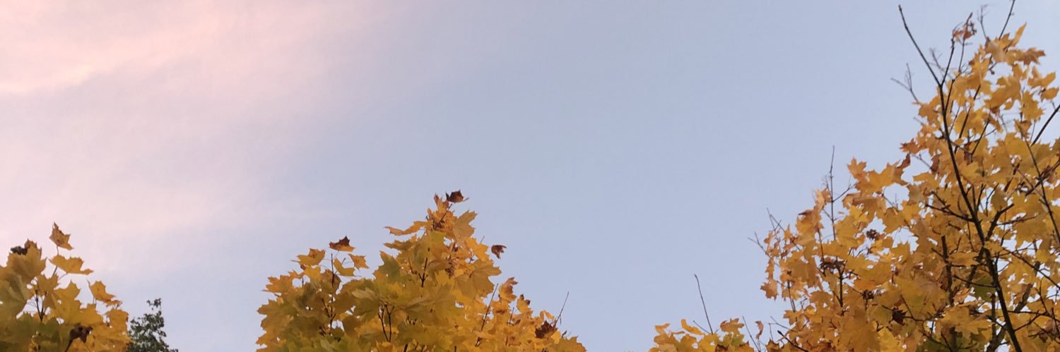 bensalwaysjamin's profile banner image