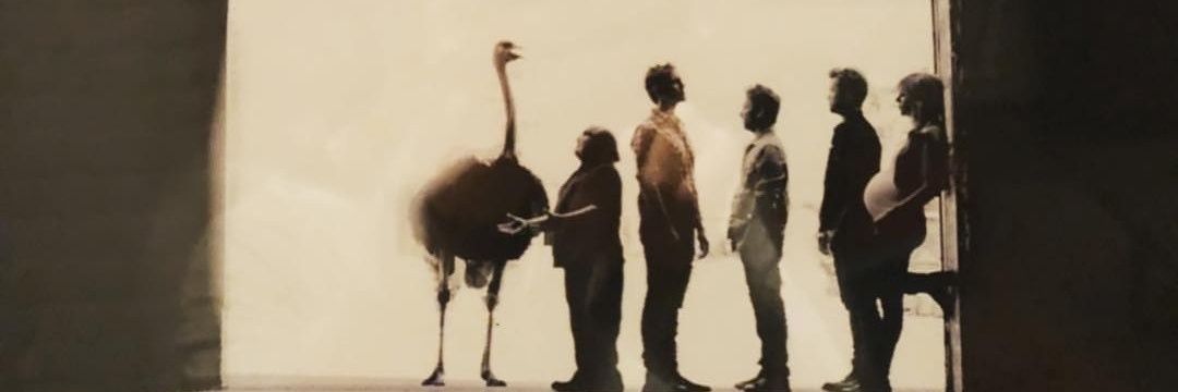 JacieCheeseman's profile banner image