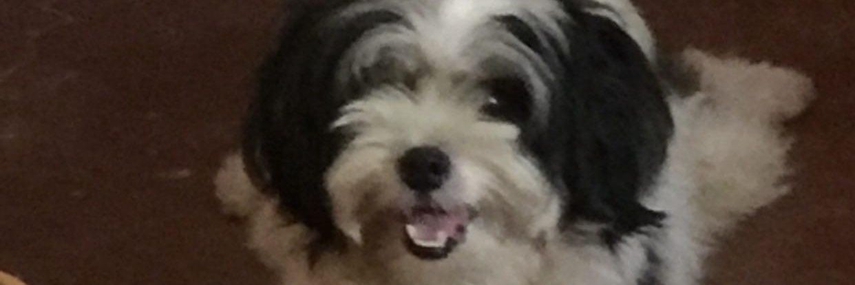 gayoooo_'s profile banner image