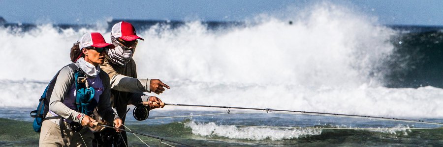 GaryLoomis's profile banner image