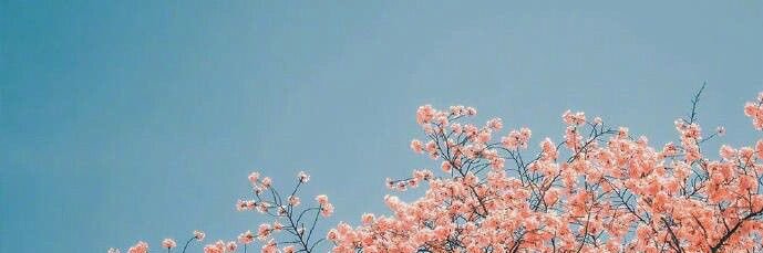 __peung's profile banner image