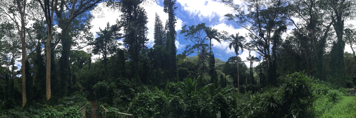 Mele🇦🇺🌺🌴 banner