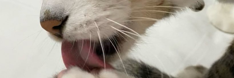 Naptibakam's profile banner image