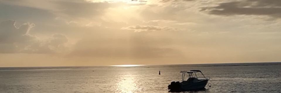 mopheme's profile banner image