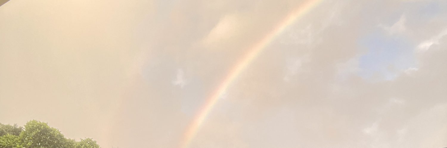 lallyzzy's profile banner image
