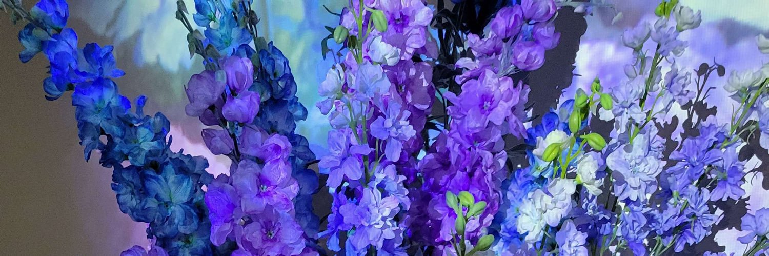 奇異ちゃん's banner