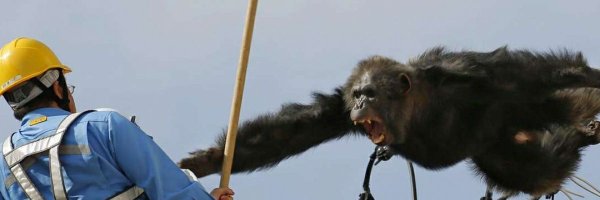 maxsvie Profile Banner