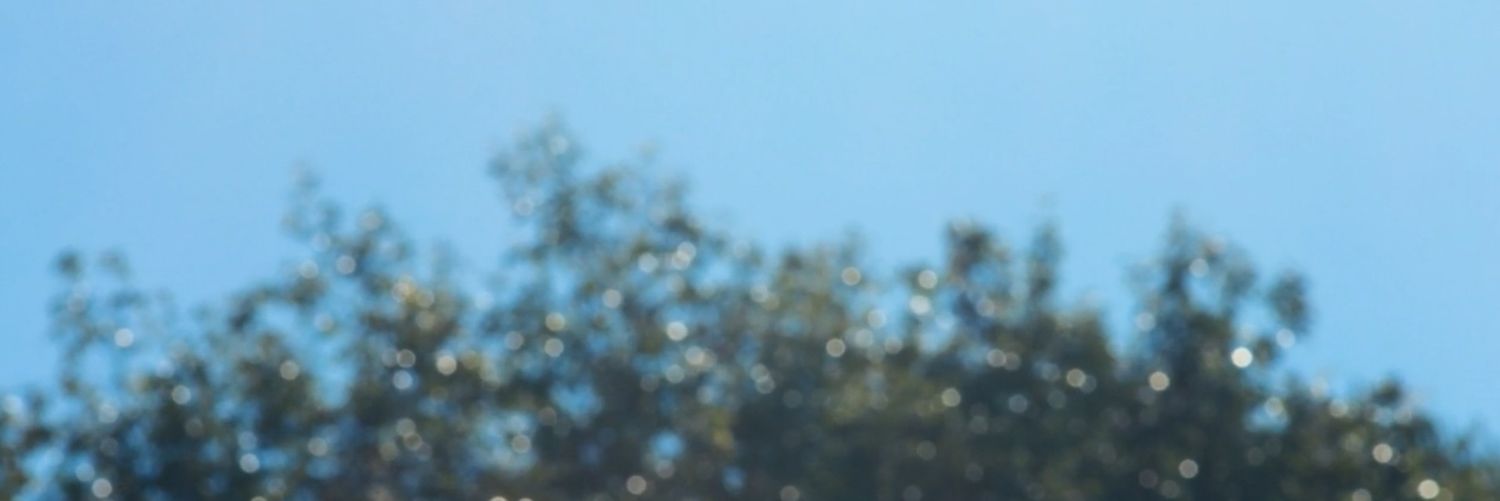 gelee91's profile banner image