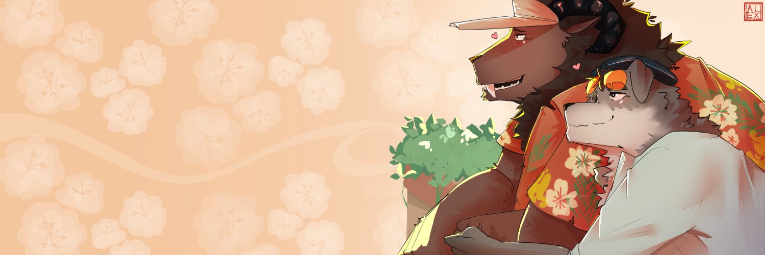 Orca banner