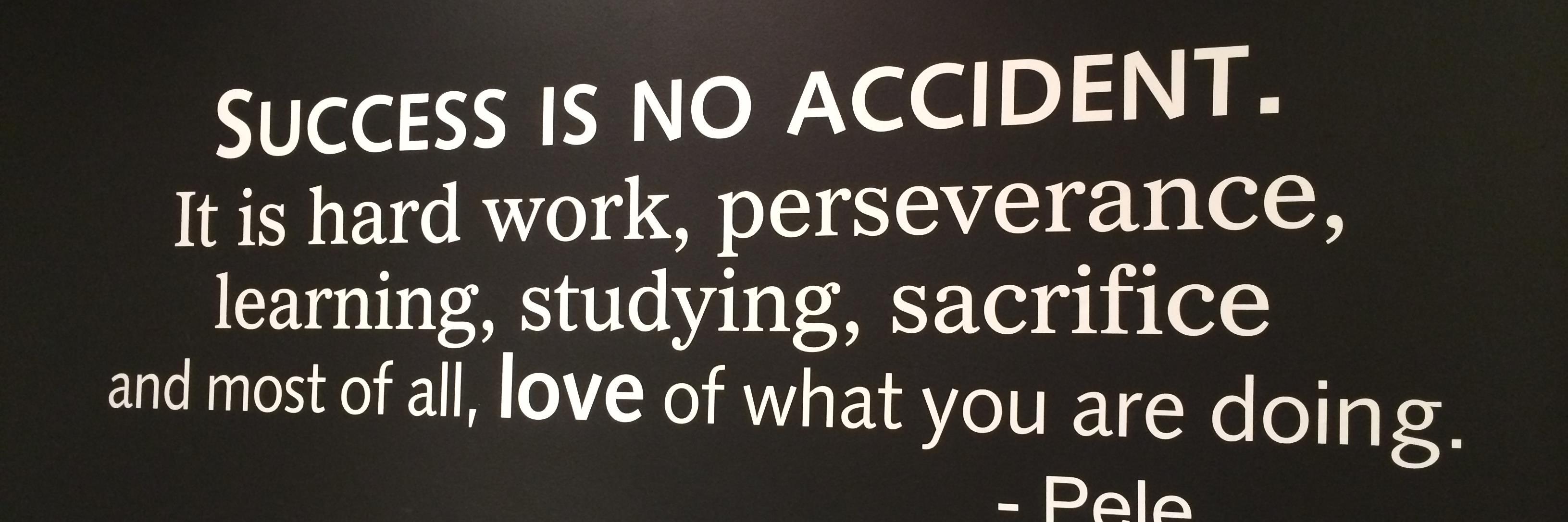 Steve Springer banner