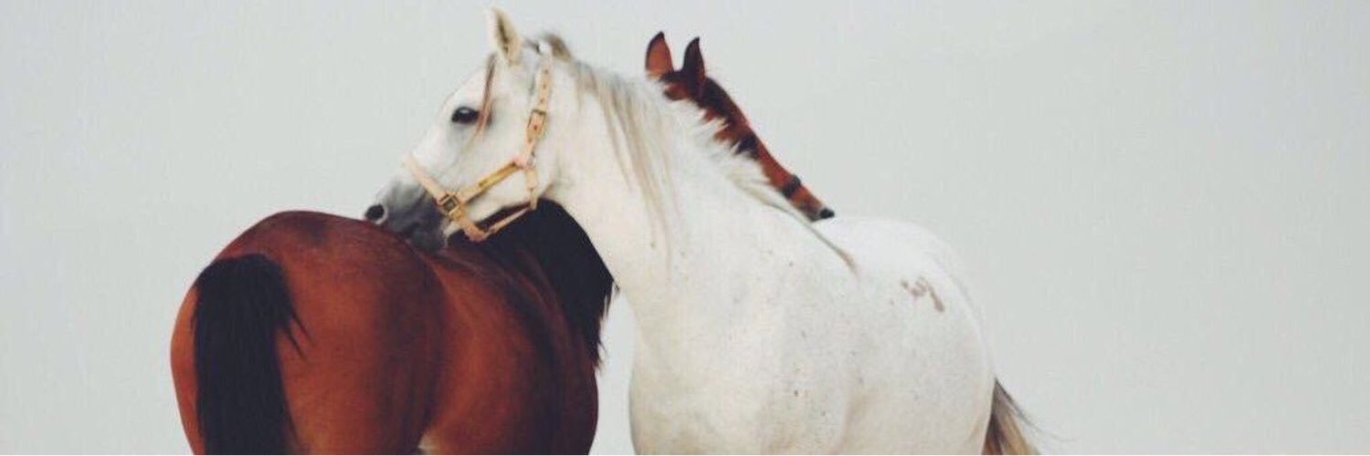 F_q821's profile banner image