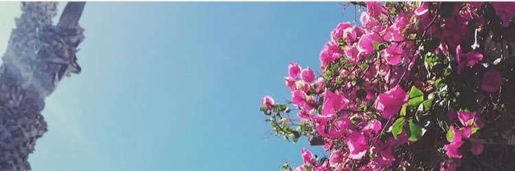 i_anfal's profile banner image