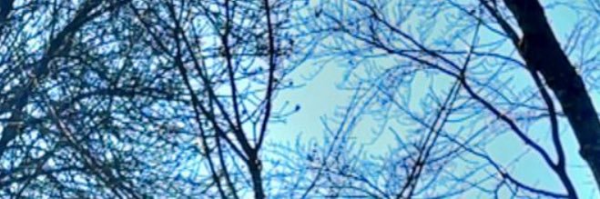maan8090's profile banner image