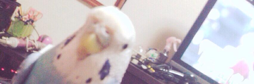 yo_pikaaaa's profile banner image