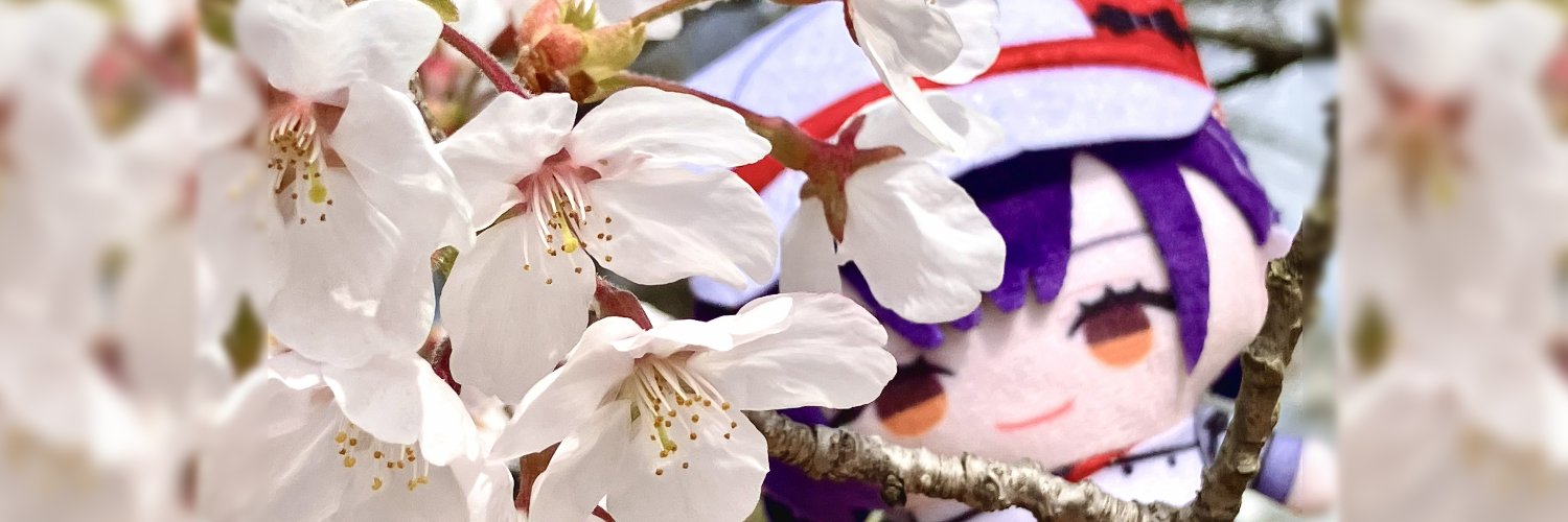 Herehere753's profile banner image