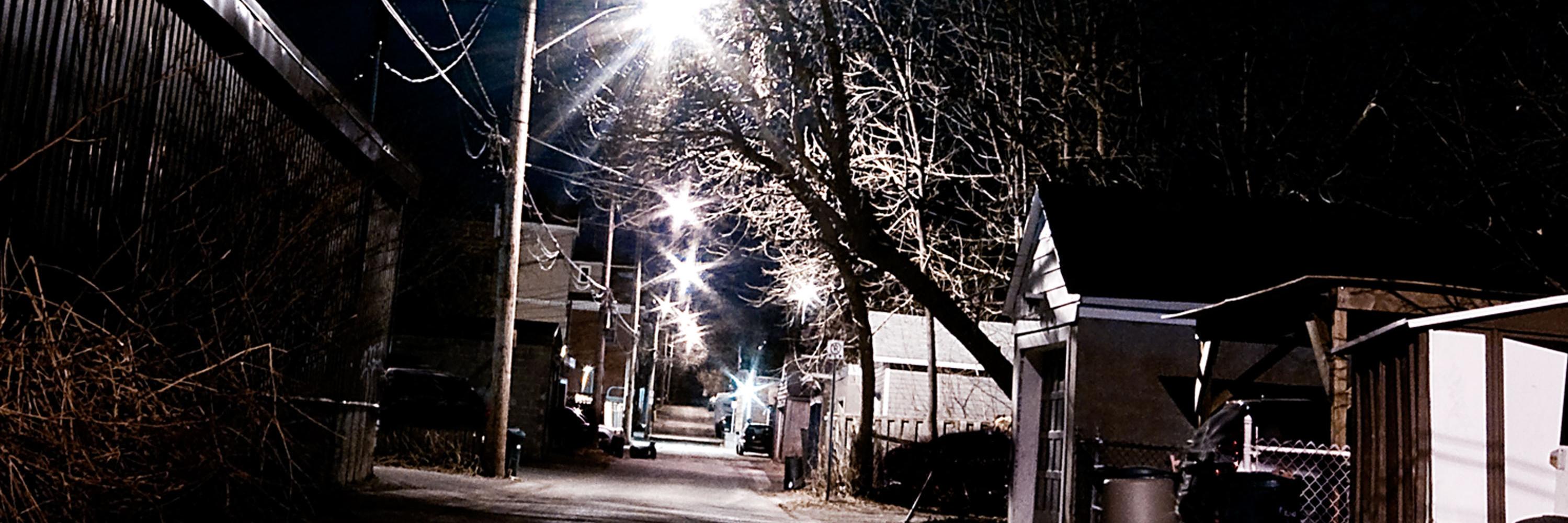 archy_cockroach's profile banner image