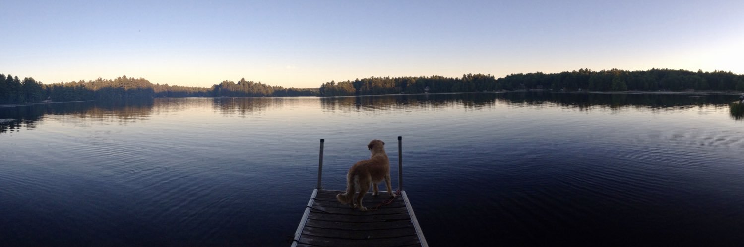 AndrewfKelly's profile banner image