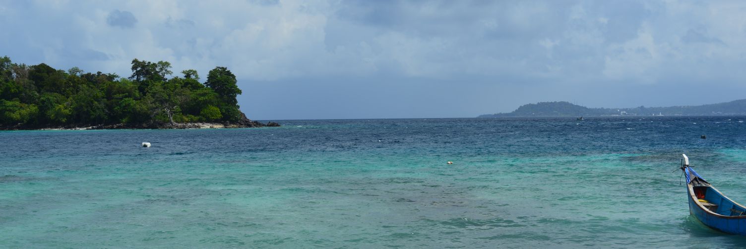 deviafriantii's profile banner image