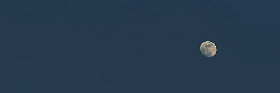 beau banner