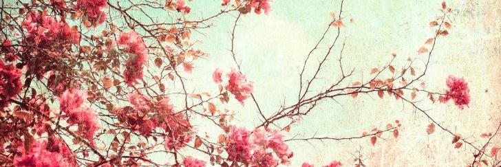 terminzarin's profile banner image