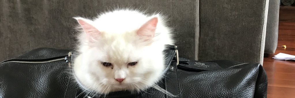 AliZuberi93's profile banner image