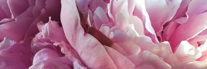 hi!!!! banner