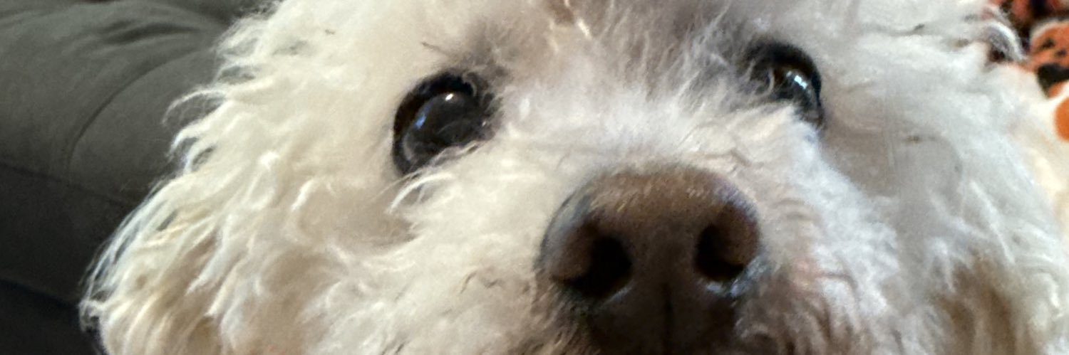 kaarelro's profile banner image