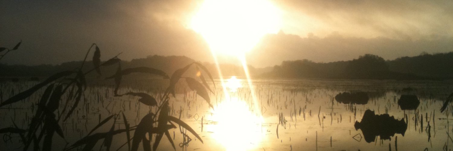 DuncanLowrey's profile banner image