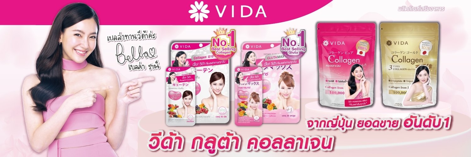 Vidathailand banner