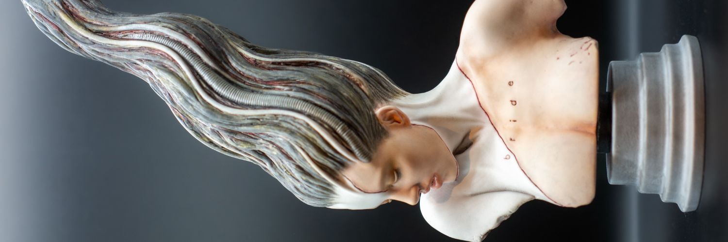 seky009's profile banner image