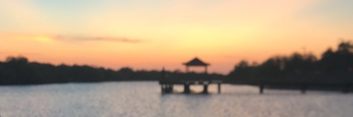 MarissaMonique4's profile banner image