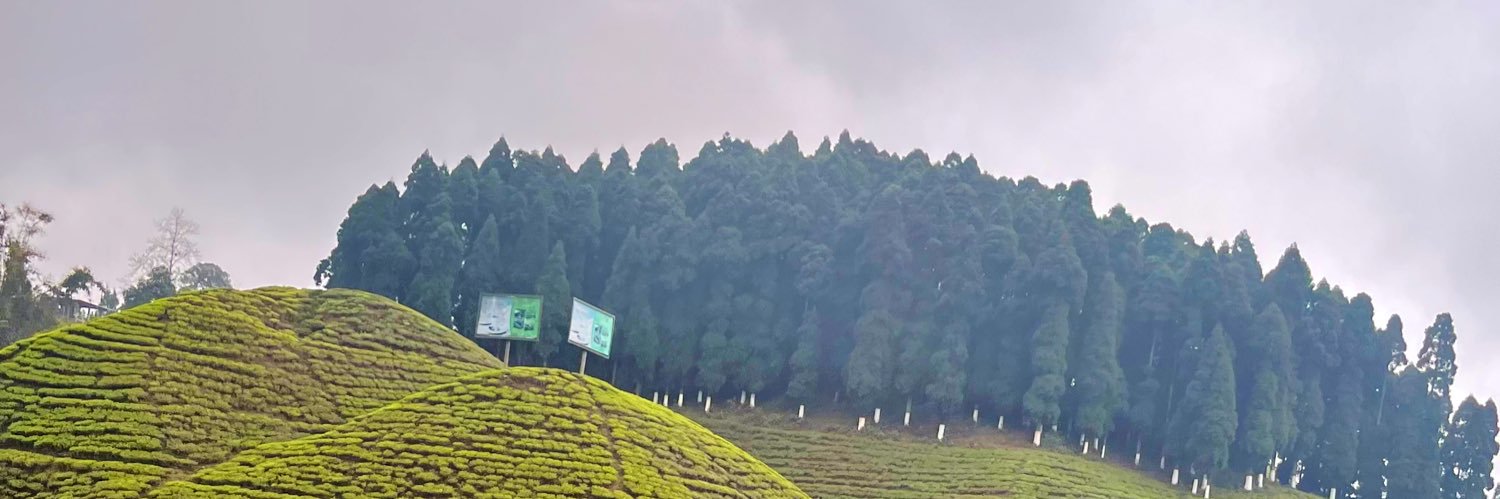 Rohitiss's profile banner image