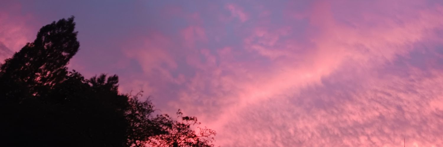 rintarolove's profile banner image