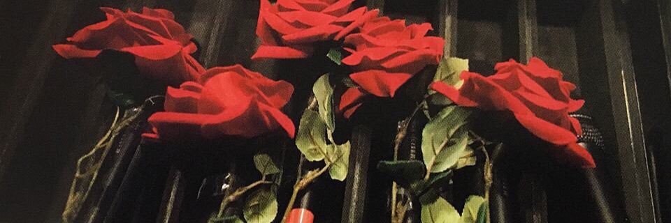 kt__tag_'s profile banner image
