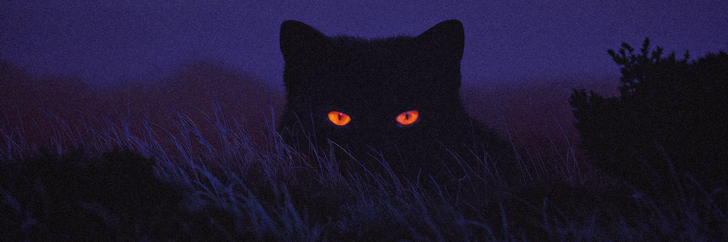 geoffhn_'s profile banner image