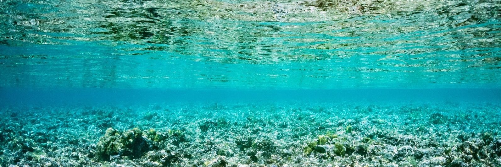 たっちゃん banner