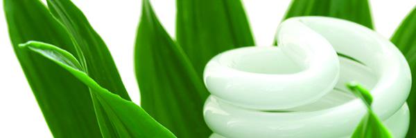 bshsgreenteam's profile banner image