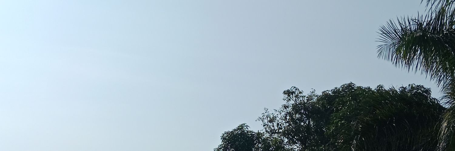 safaathi's profile banner image