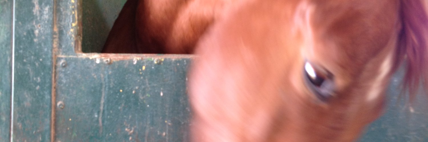 איתי גורל banner