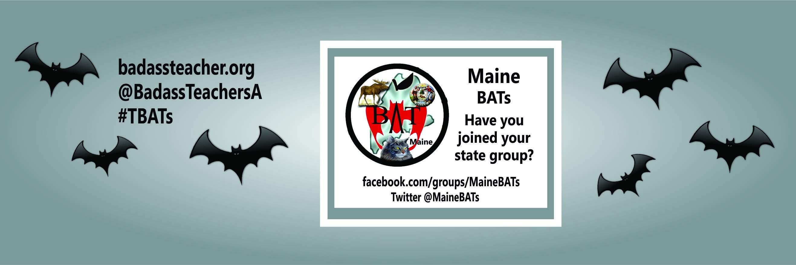 MaineBATs's profile banner image