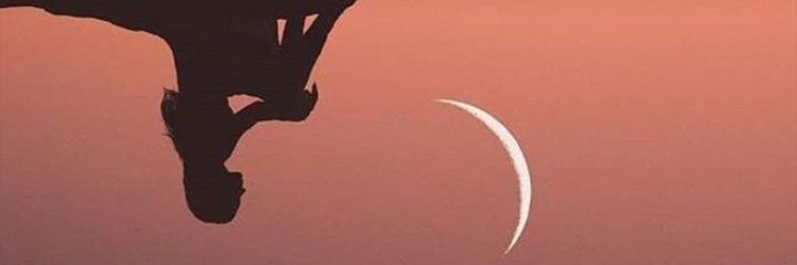 Havana_7's profile banner image