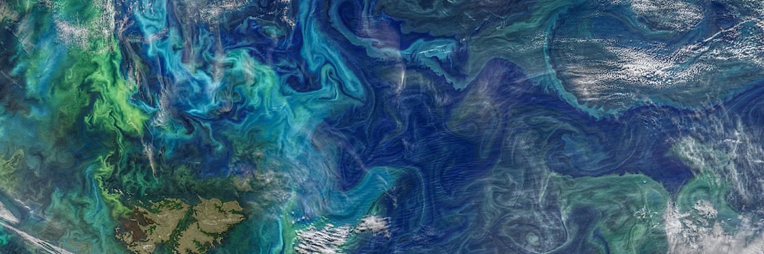 Camille Barras banner