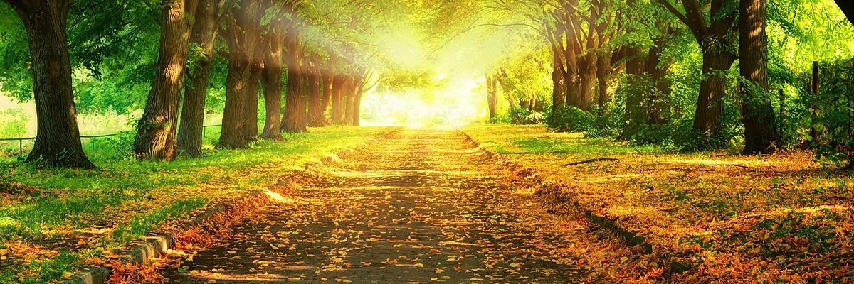 AminMuuh's profile banner image