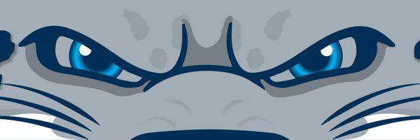 AUG_Baseball Profile Banner
