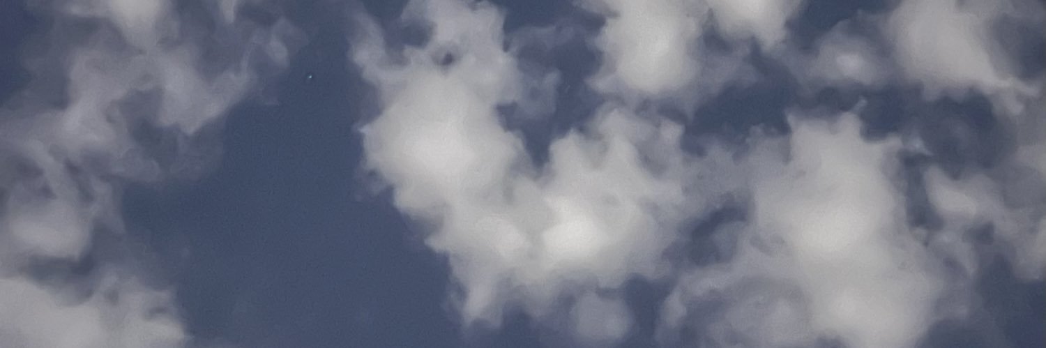 iisaaara's profile banner image