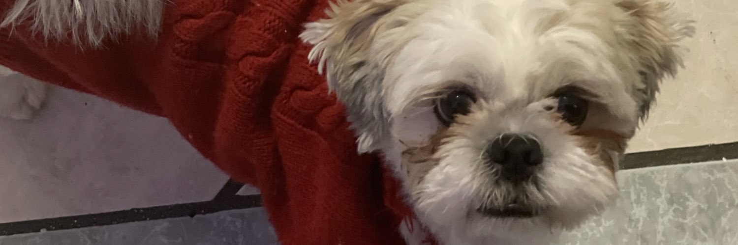 igetlotsofbread's profile banner image