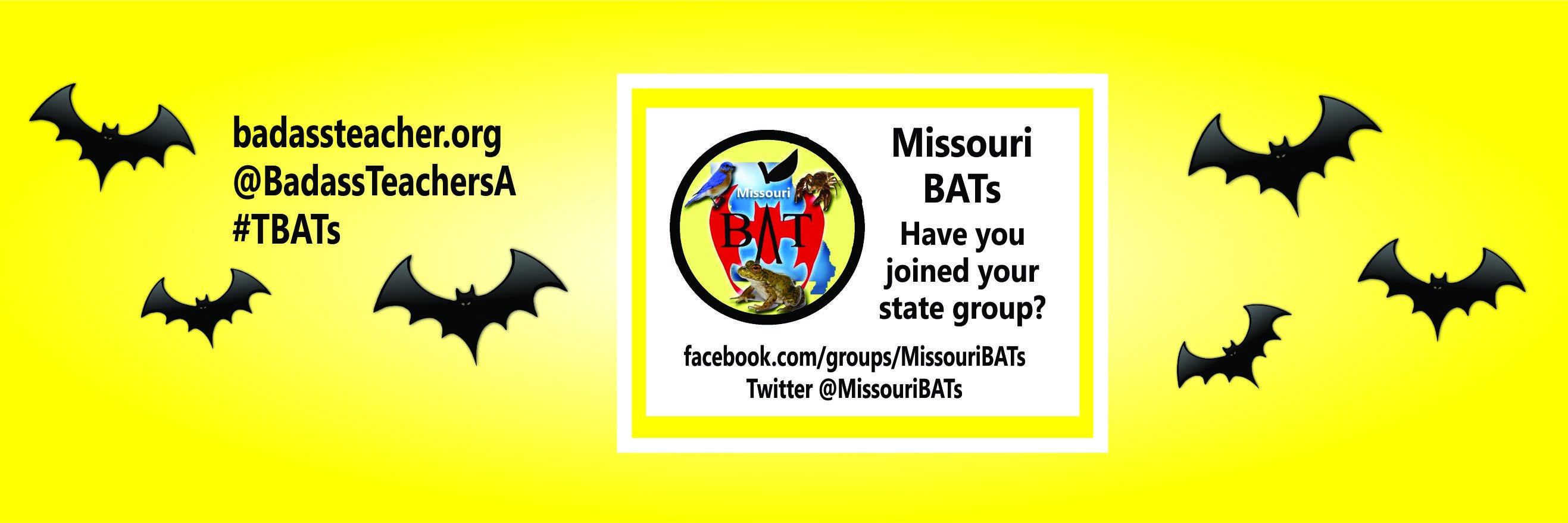 Missouri BATs banner