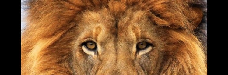 Lizaaaaaz's profile banner image