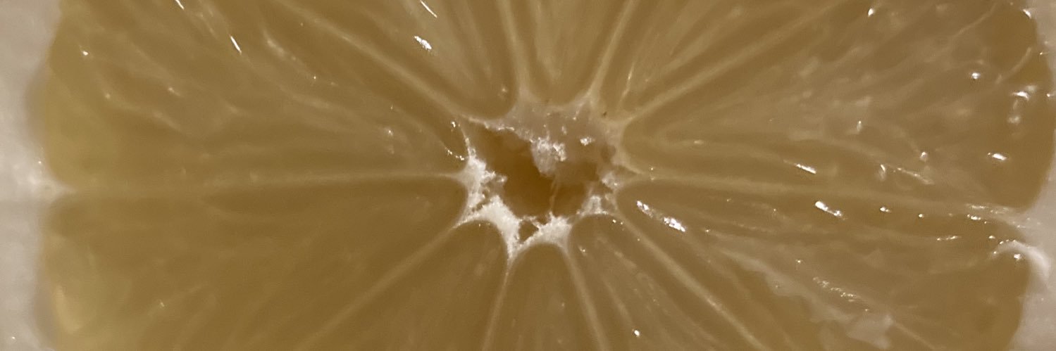 kushlavender's profile banner image