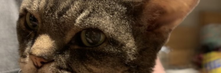 ericdelaney's profile banner image